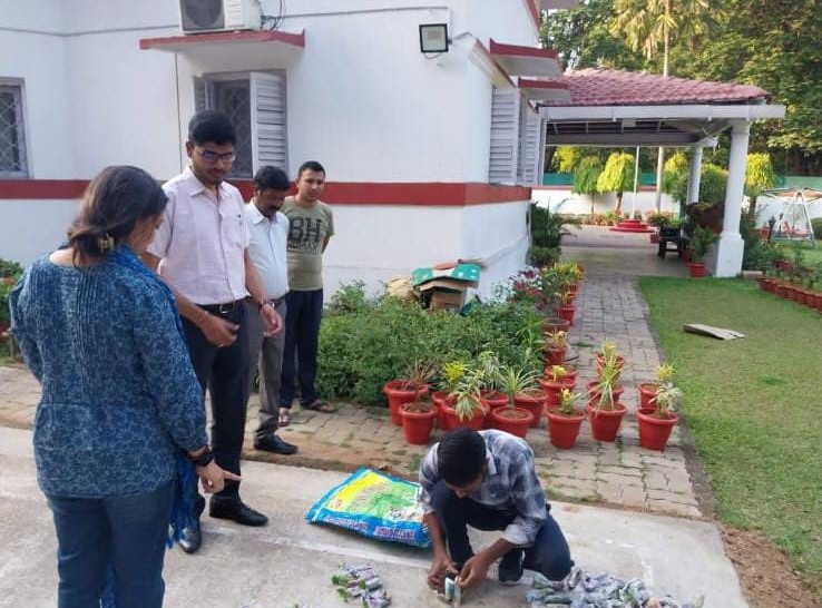 SDO Jamshedpur Office Horticulture